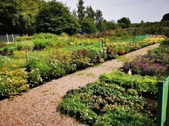 Largest Retail and Wholesale Horticultural Nursery in Wales Photo 4