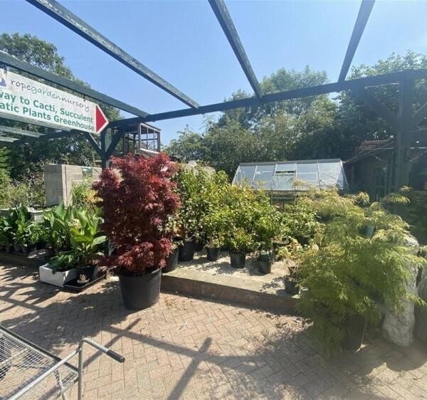 Garden Centre & Horticulture For Sale in Crewe Photo 4