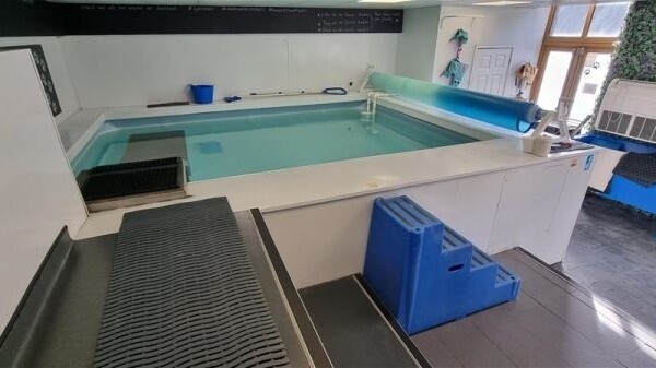 Leading Canine Hydrotherapy Centre based in Huddersfield Photo 4
