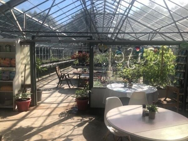 Leasehold Café/Restaurant & Garden Centre Located In St Tudy Photo 4