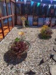 Cattery - Weston Super Mare Photo 4