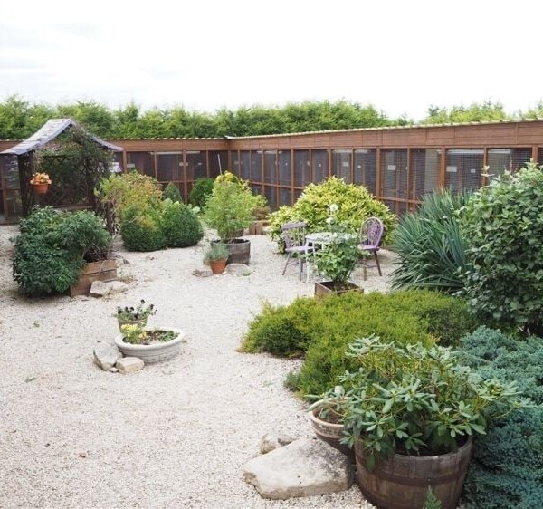 Kennels, Cattery & Equestrian businesses For Sale in Scunthorpe Photo 4