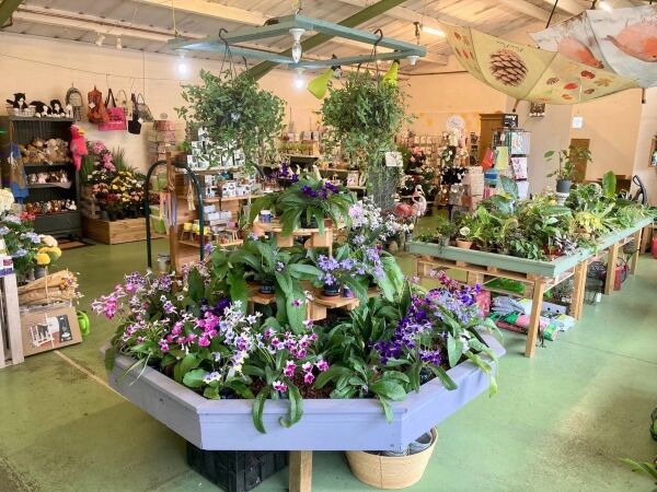 GARDEN CENTRE & CAFE Photo 4