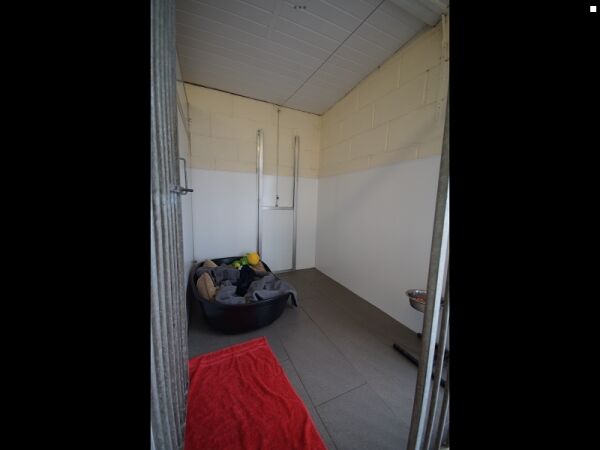 Well Established Boarding Kennels For Sale Photo 4