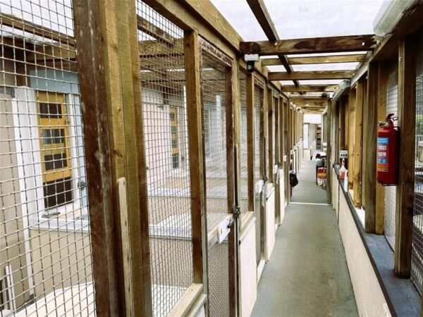 5* Cattery - Cornwall Photo 4