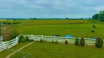 LUXURY PET HOTEL - LANARKSHIRE / FREEHOLD OPPORTUNITY Photo 4