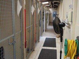 Kennels, Cattery & Equestrian businesses For Sale in Rugby Photo 4