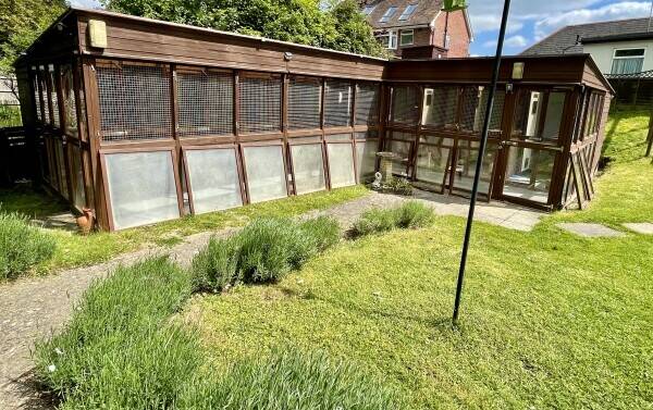 Established Cat Hotel and owners residence Photo 4