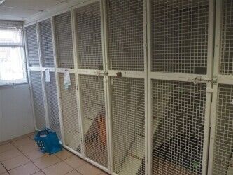 Kennels, Cattery & Equestrian businesses For Sale in Leeds Photo 4
