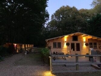 Luxury Five Star Boutique Cat Hotel and residence set in 3 acres Luxury Five Star Boutique Cat Hotel and residence set in 3 acres