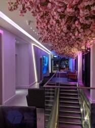 Extraordinary Luxury Venue: Restaurant & Cinema Business for Sale in East Sussex Photo 2