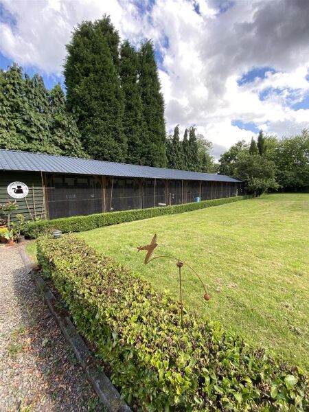 Luxury Cattery  with an impressive detached house plus 2 bed letting cottage (licensed for 44 cats) Photo 4