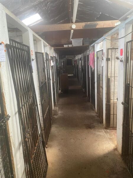 BOARDING KENNELS & CATTERY - MIDLOTHIAN Photo 4