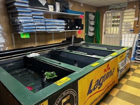 Unique Long Established Aquatics Business with Accommodation West Midalnds Photo 4