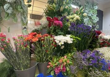 Florist for sale, Prime location in Hull Florist for sale, Prime location in Hull