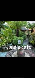Garden centre and jungle cafe