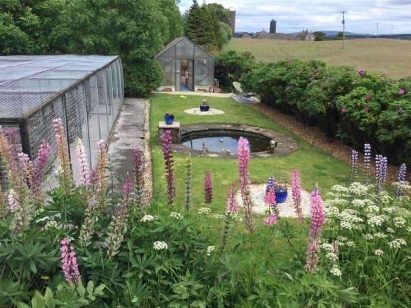 Closed Licensed Boarding Kennels - Carnwath, Lanark, Scotland Photo 4
