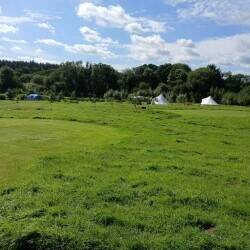 Natural meadow campsite Photo 4