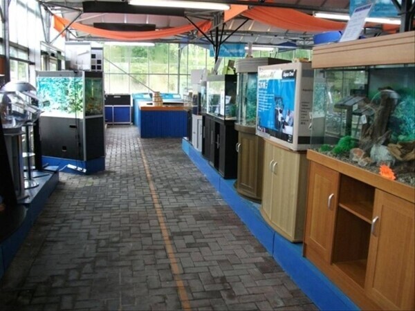 Garden Centre - Sherfield-on-Lodden Photo 5