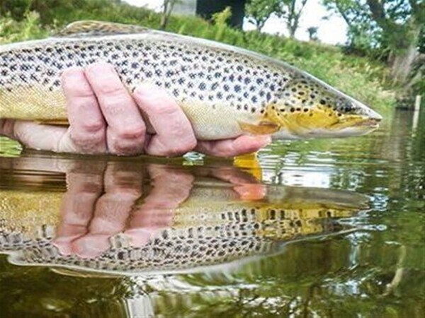 GAME FISHING BREAKS ON THE RIVER TWEED RUN FROM HOME Photo 5