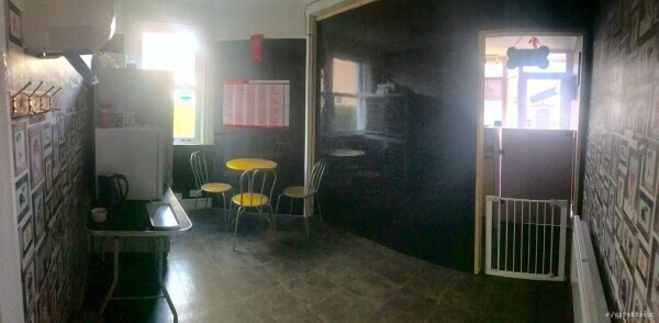 Established and fully equipped Dog Grooming business for sale in Plymstock, Plymouth. Photo 5