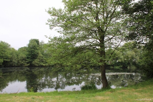 FREEHOLD VILLAGE STORE / NEWSAGENT WITH ADJOINING 3 BEDROOM BUNGALOW LARGE GARDEN WITH FISHING LAKE Photo 5