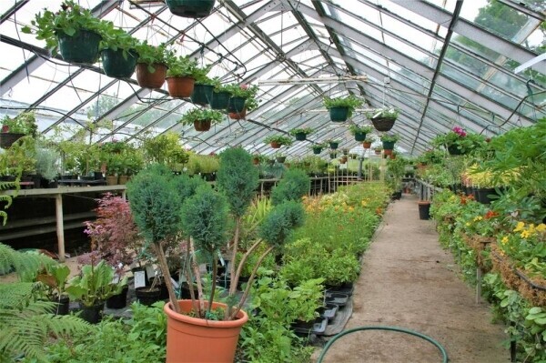Garden Centre & Horticulture For Sale in Liversedge Photo 5