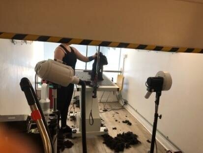 Reputable Dog Grooming, Food & Accessories Business in East Sussex Photo 5