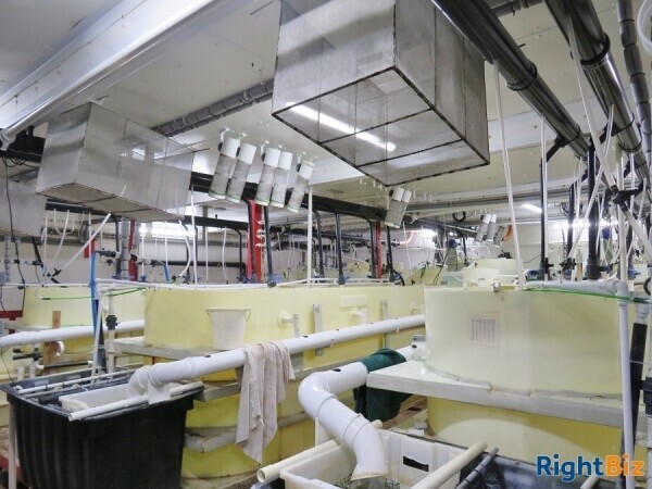 Brine Shrimp Production & Aquatic Live Food Wholesale Photo 5