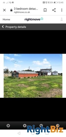 Cattery (Largest on Anglesey), stables, 4 Bed home, Static caravan and paddocks. Anglesey, N Wales. Photo 5