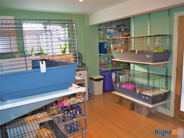 Kennels, Cattery & Equestrian businesses For Sale in Wantage Photo 5