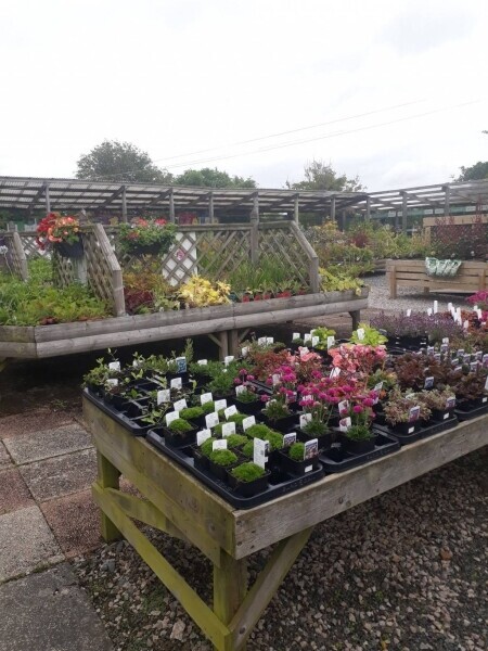 Garden Centre Business With Excellent Reputation Photo 5