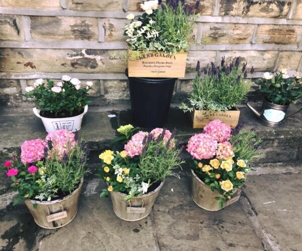 Established Local Florist Photo 5