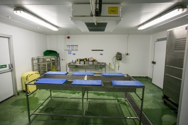 An excellent opportunity to acquire a high volume fish smokehouse in an excellent location Photo 5