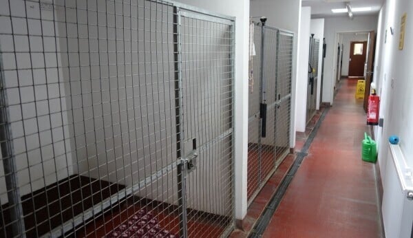 Family Home & Boarding Kennels Licensed For 60 Photo 5