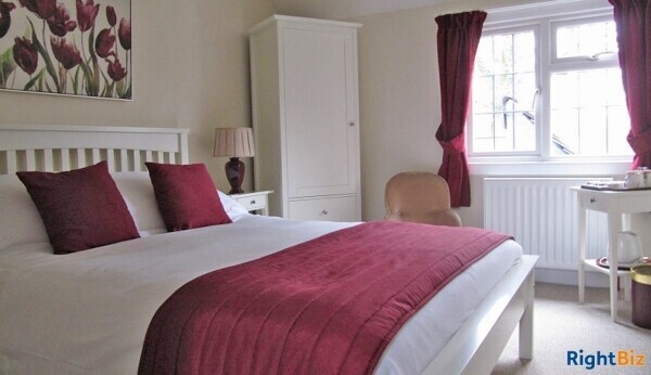 Superb Home & Income - 2 Acres New Forest Photo 5