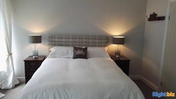 Freehold Wine Bar & Coffee House with 3 Boutique Letting Rooms Located In Newquay Photo 5