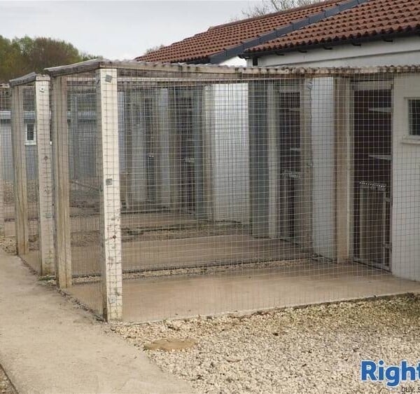 Kennels, Cattery & Equestrian businesses For Sale in Chesterfield Photo 5
