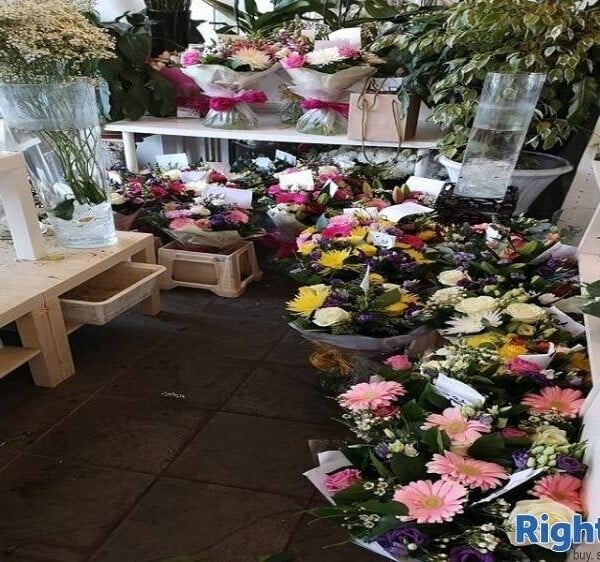 Long Standing Florist business for sale Photo 5