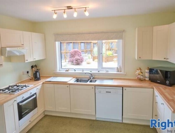 Cattery - Scottish Borders Photo 5