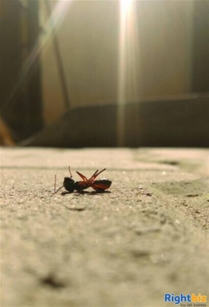 Well-Established Pest Control Business. with Superb Expansion Opportunities Photo 5
