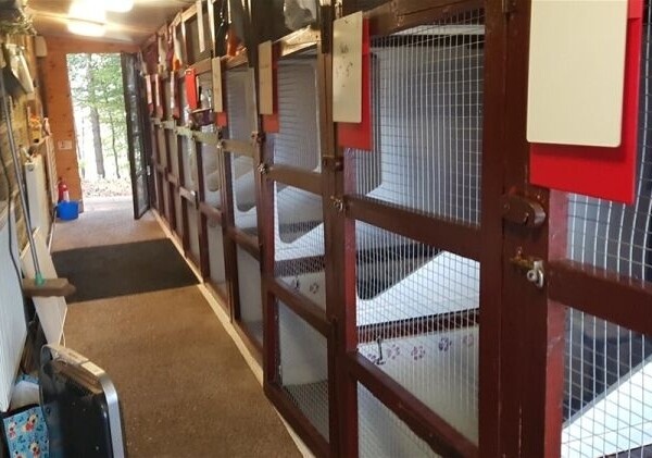 Kennels, Cattery & Equestrian businesses For Sale in Barnsley Photo 5
