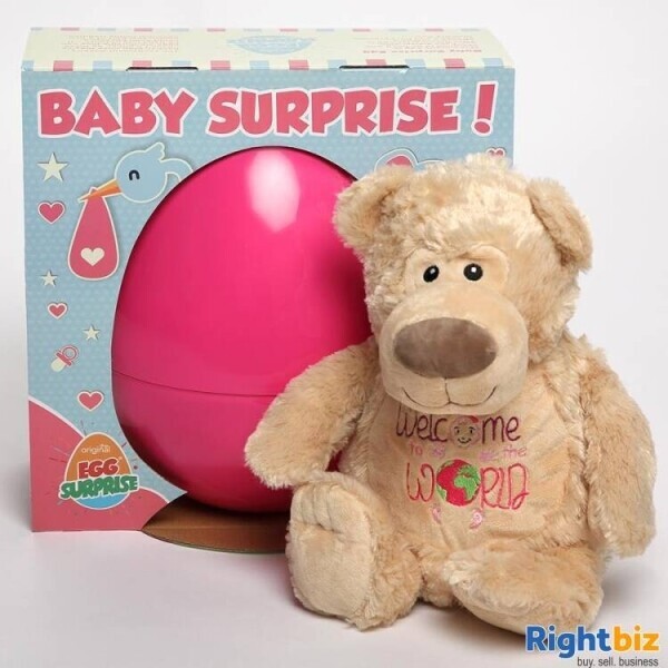 Relocatable E-Commerce Children's Toy Business for Sale Photo 5