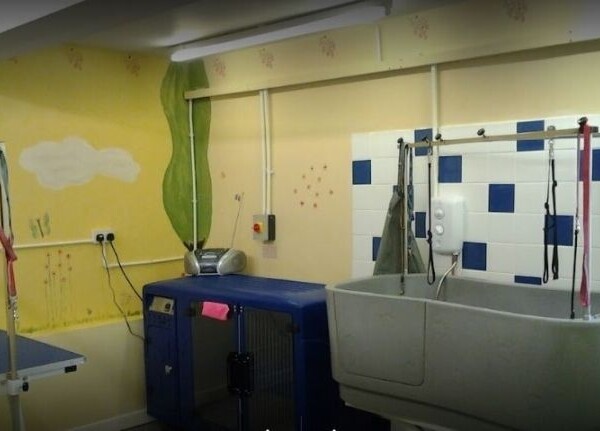 Caring & Reputable Dog Grooming Parlour in Shropshire Photo 5
