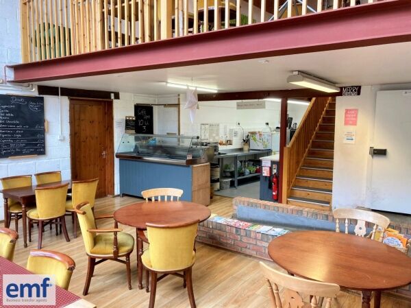 NICHE GROCERY/WHOLEFOOD STORE with CAFE Photo 5