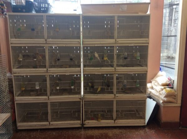 Well Run Pet Shop & Aquatic Centre Photo 5