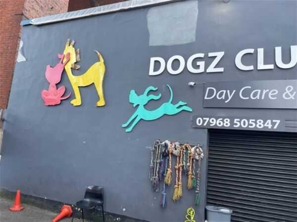 TOWN CENTRE DOGGY DAYCARE & GROOMING CENTRE based STOCKPORT Photo 5