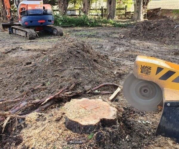Tree Stump Grinding Specialist - Essex Photo 5