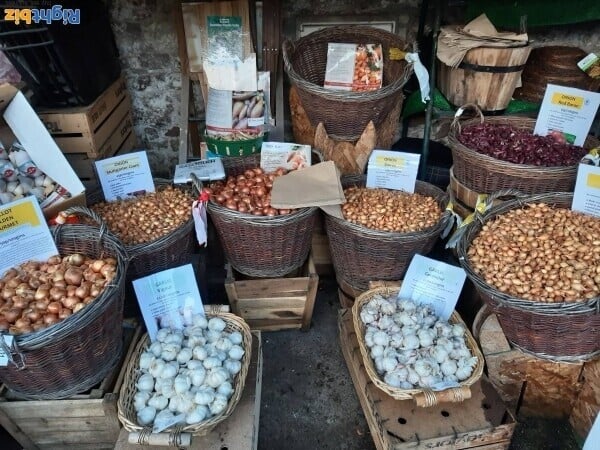 Unique High Street Garden Centre and Pet Supplies Photo 5