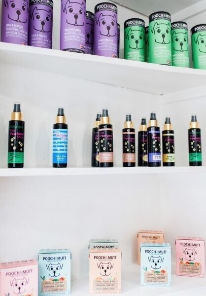 Award-Winning Dog Grooming Business for Sale in Berkshire Photo 5